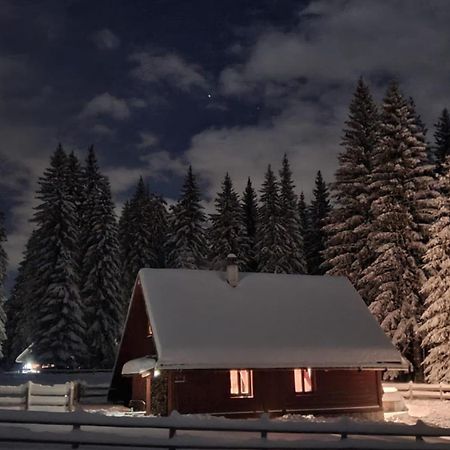 Cosy Chalet on Pokljuka for 8 persons Zgornje Gorje Екстериор снимка