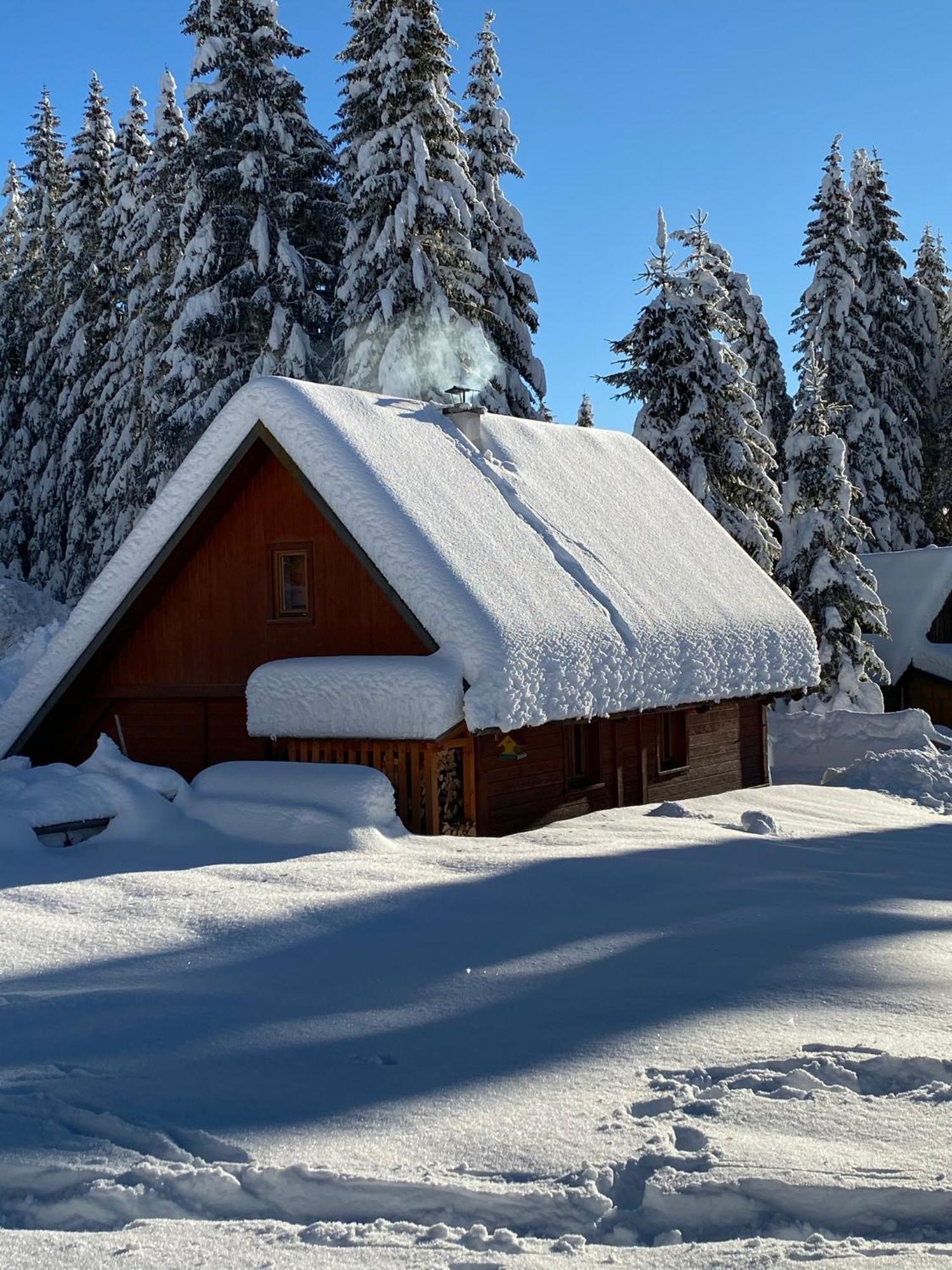 Cosy Chalet on Pokljuka for 8 persons Zgornje Gorje Екстериор снимка