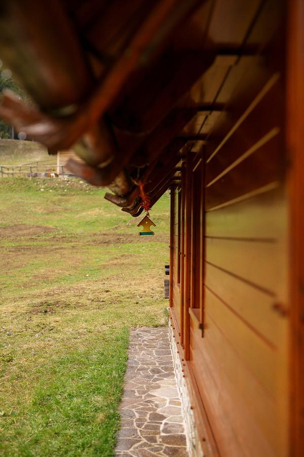 Cosy Chalet on Pokljuka for 8 persons Zgornje Gorje Екстериор снимка